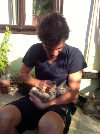 One of the kittens we had to be careful not to lose when staying in the empty house of a family on holiday.